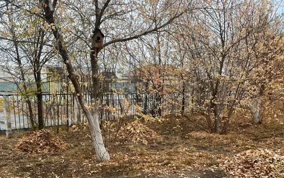 11.10.2025ж біздің мектебімізде күзгі сенбілік өтті…